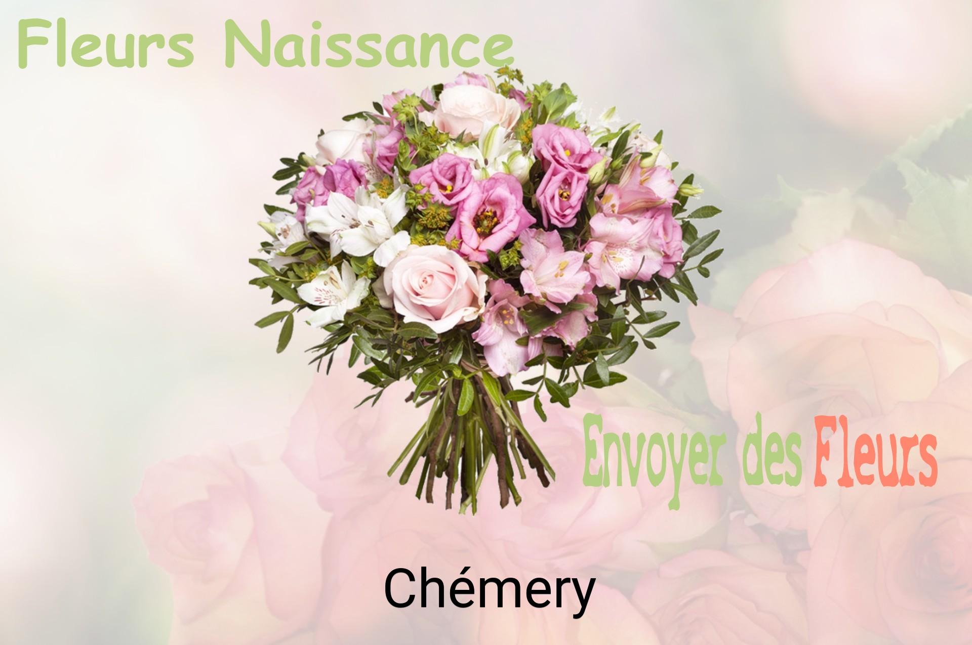 Bouquet de fleurs de naissance livré à Chémery